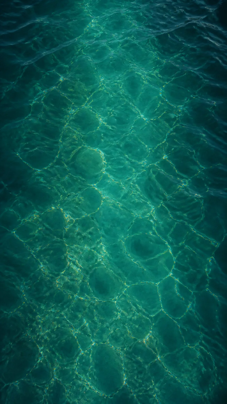 Kolam bunga teratai